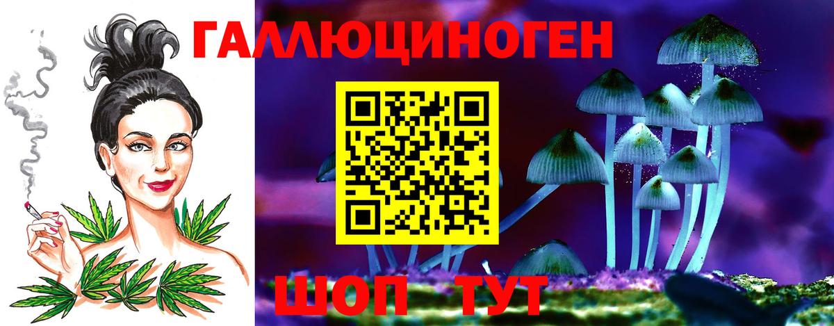 Галлюциногенные грибы GOLDEN TEACHER  Вход с VPN  Калининград 